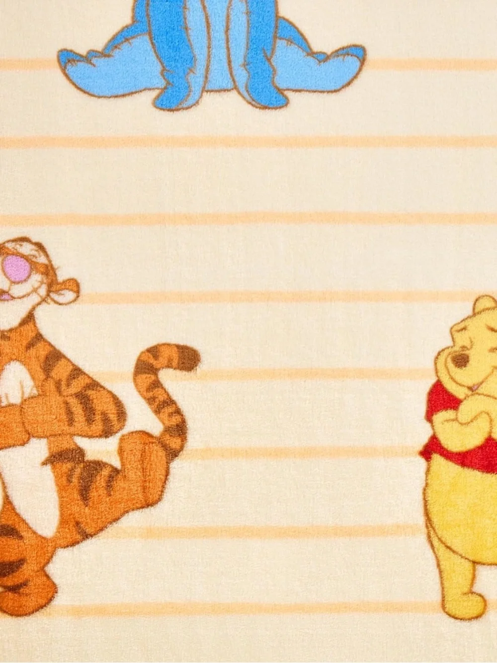 Disney Winnie the Pooh Themed Silk Touch Plush Throw Blanket w/ Character Prints